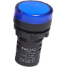 Piloto Azul